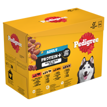 Pedigree Adult Protein+ Selectie in Gelei 12 × 85 g – productverpakking