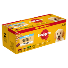 Pedigree Junior Mix Selectie in Gelei 40 × 100 g – productverpakking