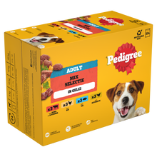 Pedigree Adult Maaltijdzakjes Favoriete Selectie in Gelei 12 × 100 g – productverpakking