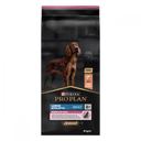Pro Plan adult large athletic sensitive skin zalm 14kg, 14 kg, EAN 7613035417045