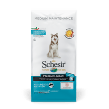 Schesir hond dry maintenance medium vis 12kg, 12 kg