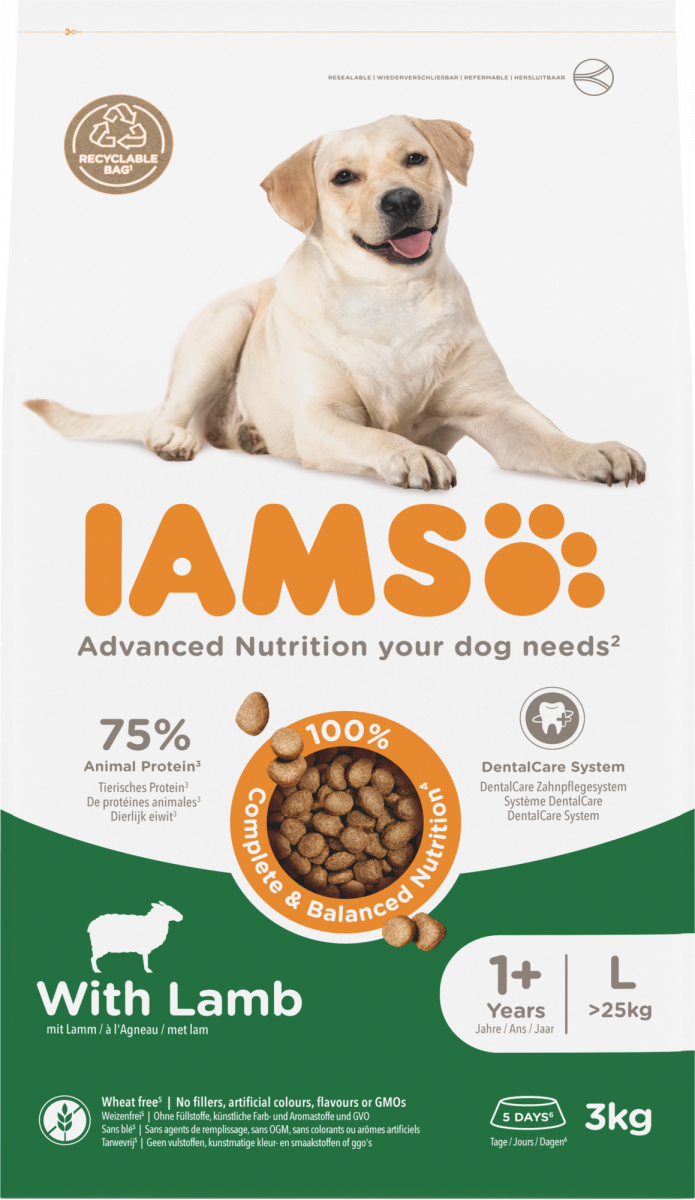IAMS Adult Large Breed lam – 3 kg hondenbrokken verpakking