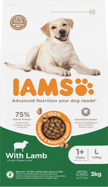 IAMS Adult Large Breed lam – 3 kg hondenbrokken verpakking