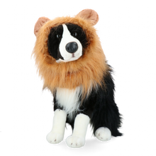 Oranje WK leeuwenmanentooi voor honden maat M