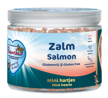 Renske Mini Hartjes Zalm hondensnack 100 g